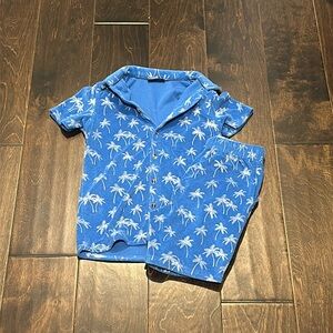Andy & Evan terry cloth palm tree shorts and top